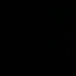 Meet your Posher, Jake